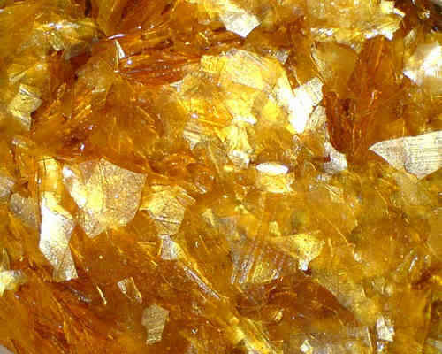 Schellack super blond - schellack,